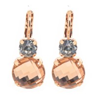 Mariana Jewellery E-1037R/30 1160 Earrings